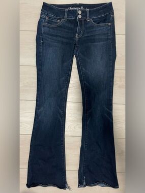 American Eagle Outfitters Low Rise Y2K Artist Jeans